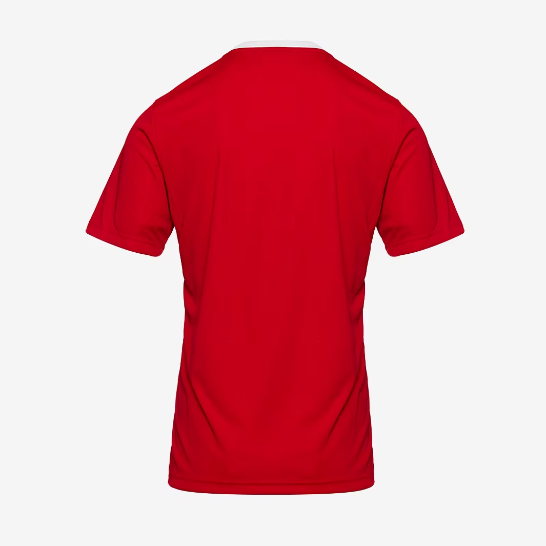 Dětský fotbalový dres adidas ENTRADA 22 JERSEY červená/bílá
