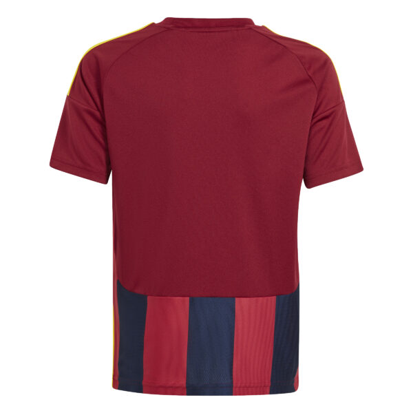 Fotbalový dres adidas Striped 24 bordo/tmavě modrá