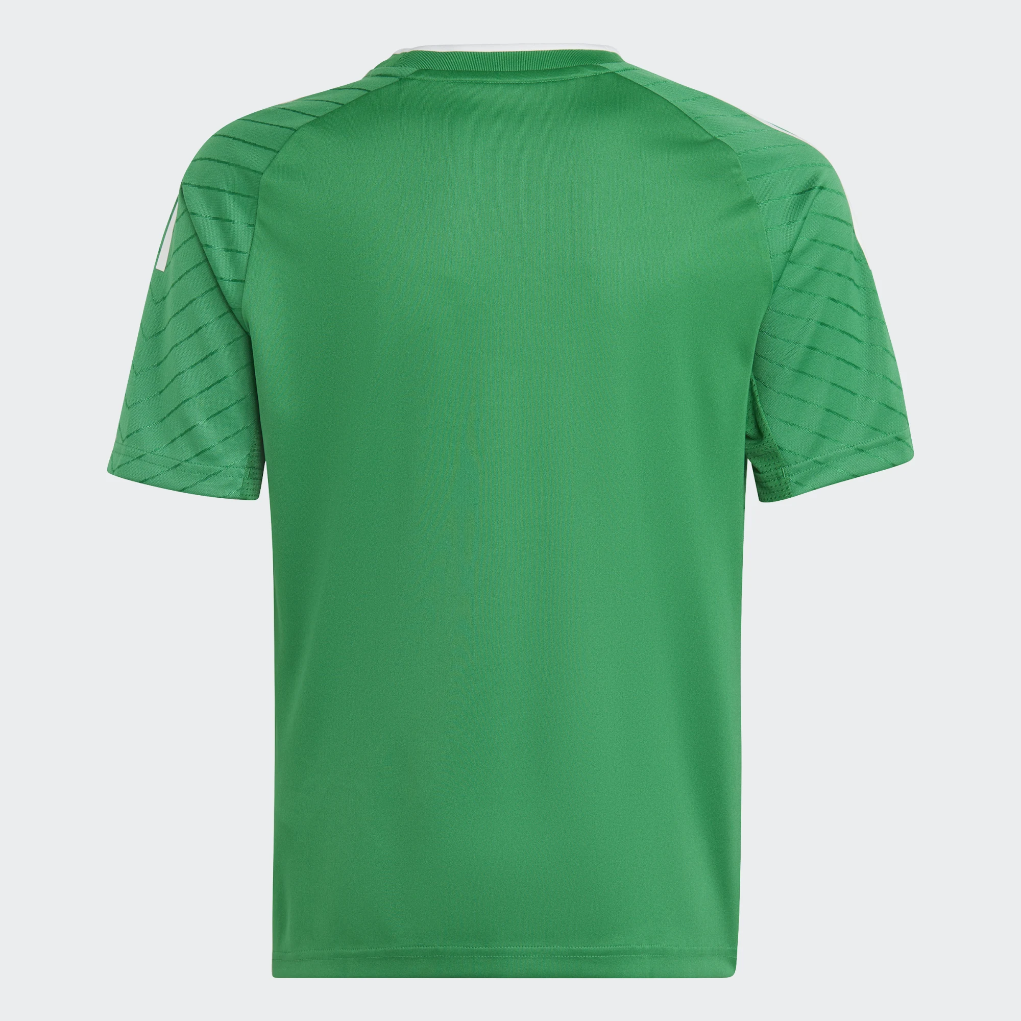 Dětský dres adidas CAMPEON 23 zelená
