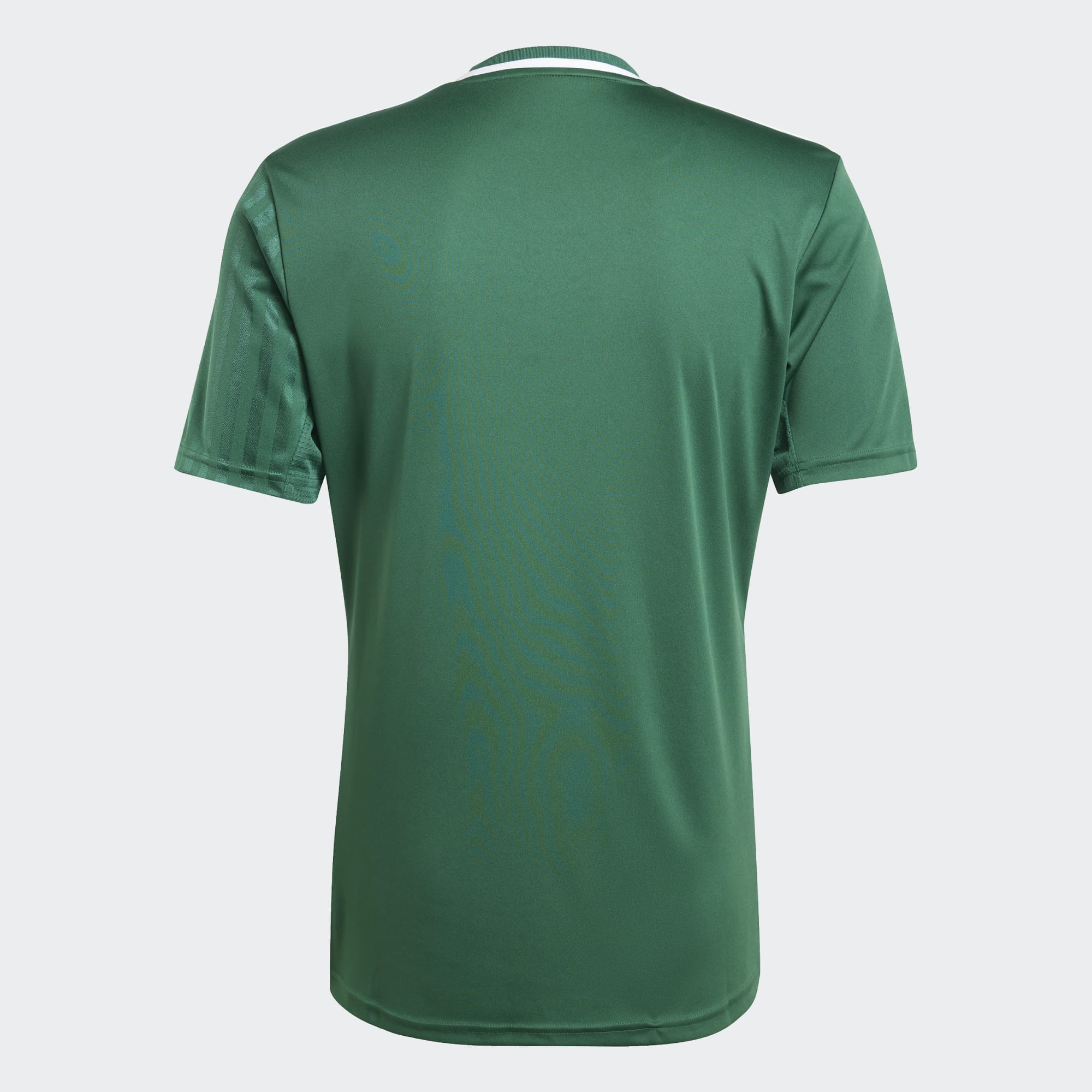 Dres adidas Campeon 25 zelená