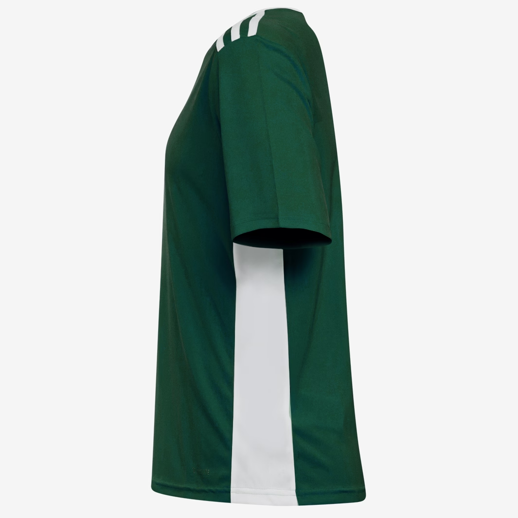Dětský dres adidas ENTRADA 18 JSY JR zelená/bílá