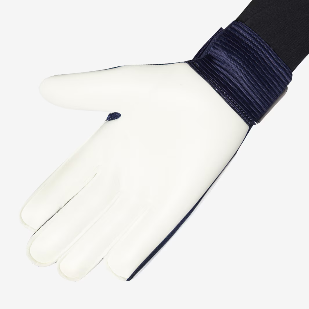 Dětské brankářské rukavice Nike Match GK modrá/bílá