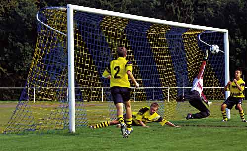 Fotbalové brankové sítě 7,5 x 2,5 x 2 x 2 m modrá/žlutá