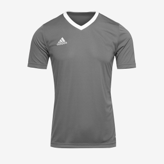 Fotbalový dres adidas ENTRADA 22 JERSEY šedá/bílá