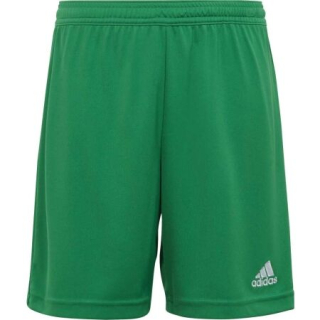 Dětské trenky adidas Entrada 22 J zelená