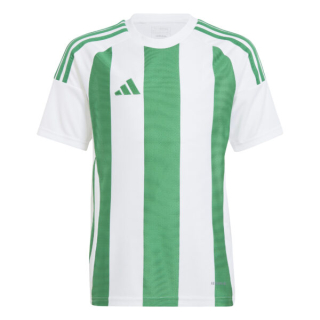 Fotbalový dres adidas Striped 24 bílá/zelená