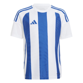 Dětský fotbalový dres adidas Striped 24 bílá/modrá