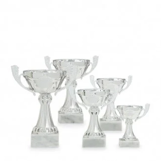 Sportovní poháry edice ekonom 33728