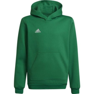 Dětská mikina adidas ENTRADA 22 SWEAT zelená