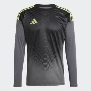 Brankářský dres adidas Tiro 25 Competition šedá/černá