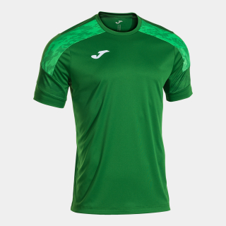 Dres Joma CHAMPIONSHIP VIII zelená/světle zelená