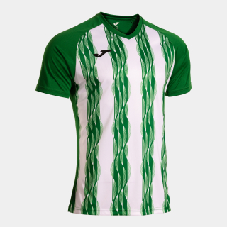 Dres Joma Inter V zelená/bílá