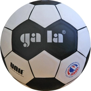 Nohejbalový míč Gala 5042S