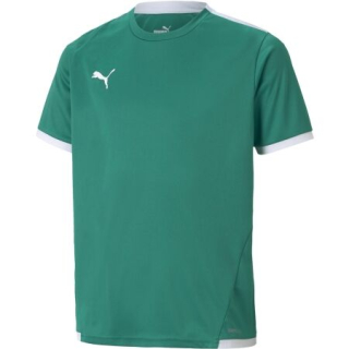 Dětský dres Puma Team Liga Jersey Tee zelená