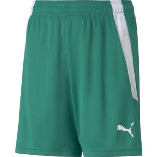 Dětské trenky Puma TEAMLIGA SHORTS zelená
