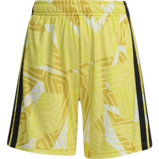 Dětské brankářské trenky adidas TIRO 26 COMPETITION GK SHORT Y žlutá/bílá