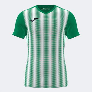 Dres Joma INTER II zelená/bílá