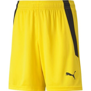 Dětské trenky Puma TEAMLIGA SHORTS žluté