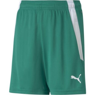 Dětské trenky Puma TEAMLIGA SHORTS zelená