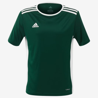 Dětský dres adidas ENTRADA 18 JSY JR zelená/bílá