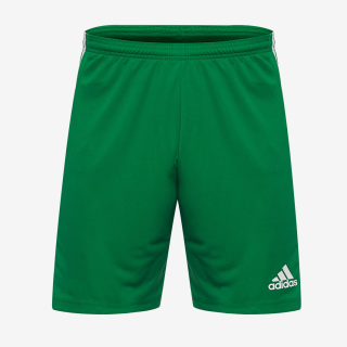 Pánské fotbalové trenky adidas Squadra 21 zelená/bílá