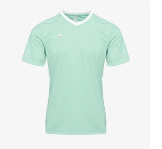 Dětský fotbalový dres adidas ENTRADA 22 JERSEY světle zelená/bílá