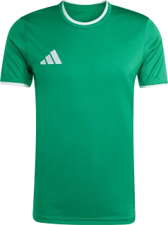 Dres Dres adidas Entrada 26 zelená